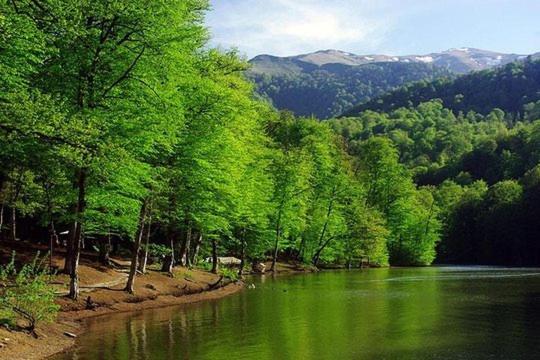 Bed and Breakfast Petit Dilijan Exterior foto